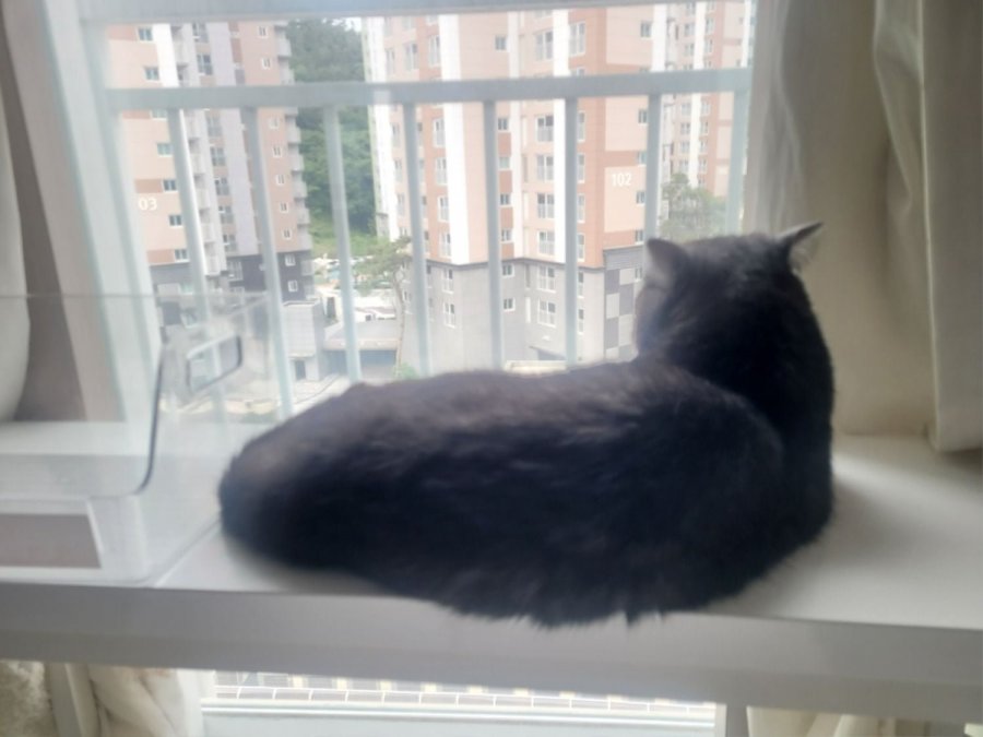 츮 