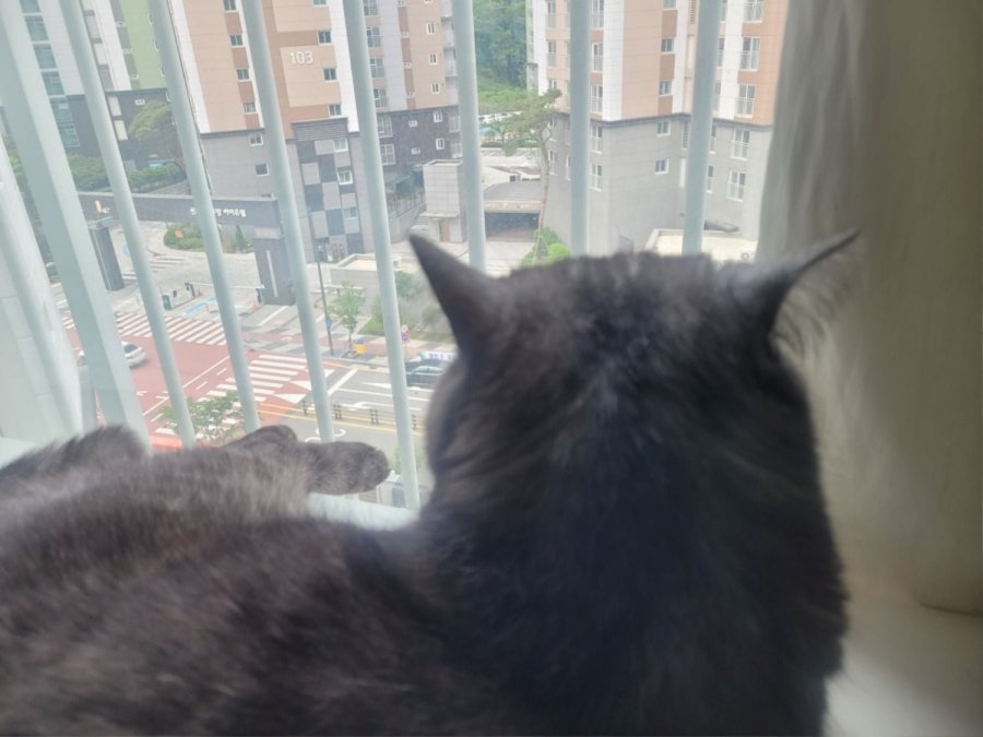 츮 
