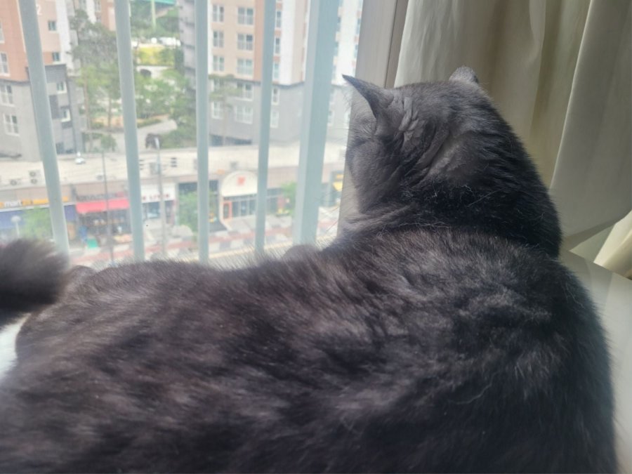 츮 