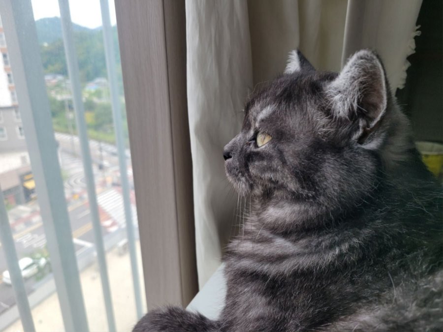 츮 