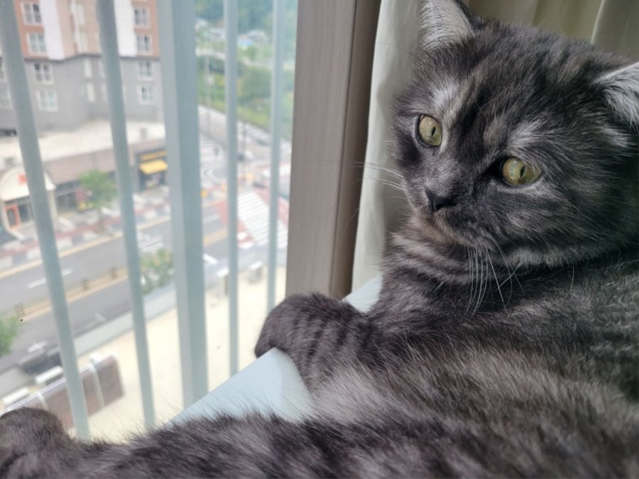 츮 