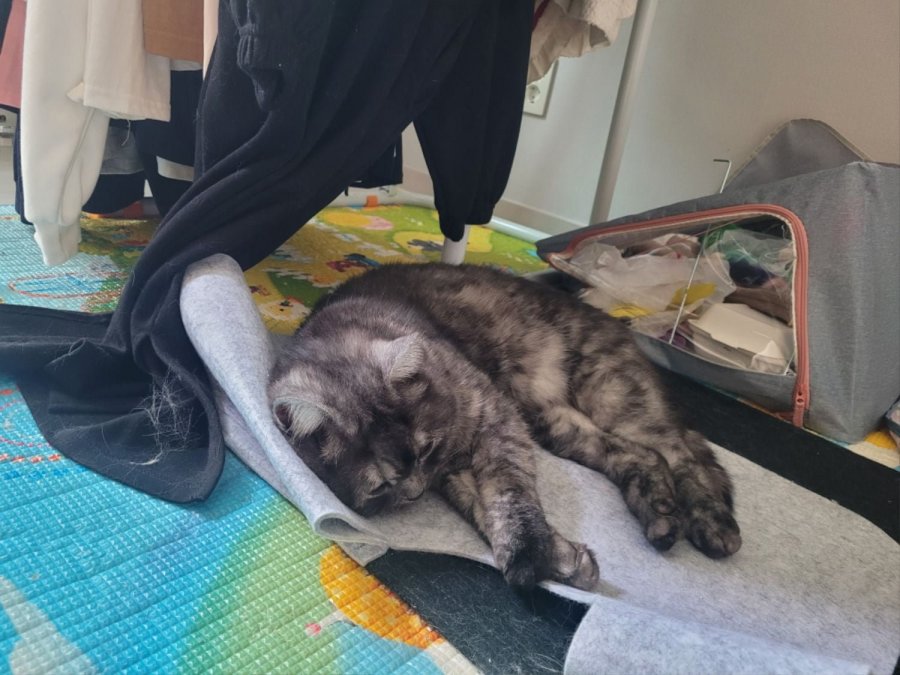 츮 