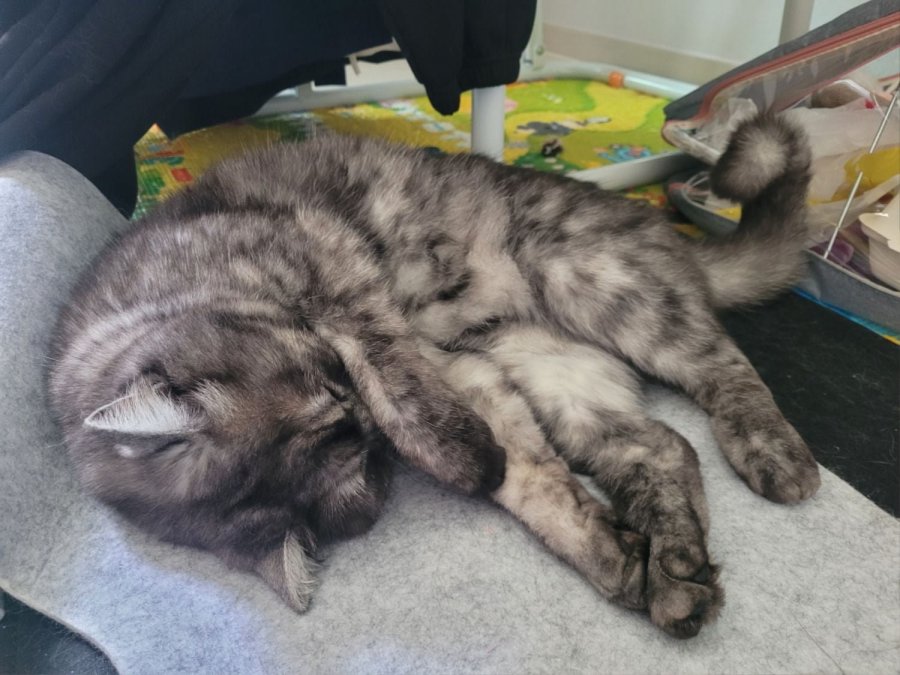 츮 