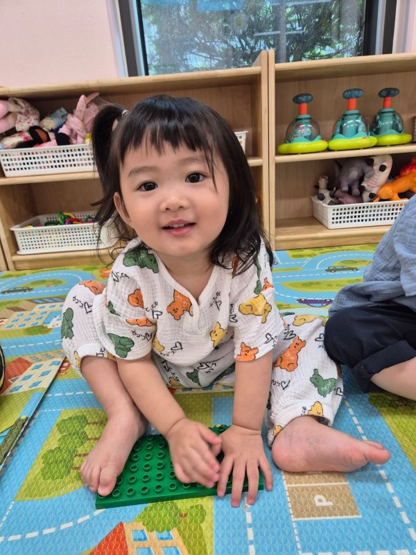 조금 성장한 감자