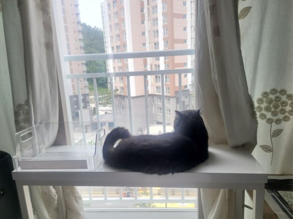 우리집 깜지