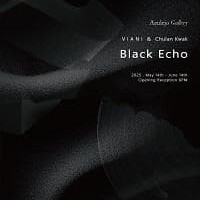 ö, ƴϡBlack Echo