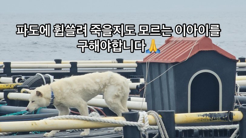 20250609080646_jj8h0onIOk.jpg