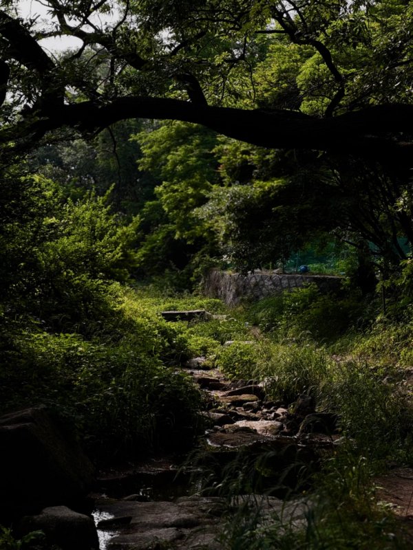 산책