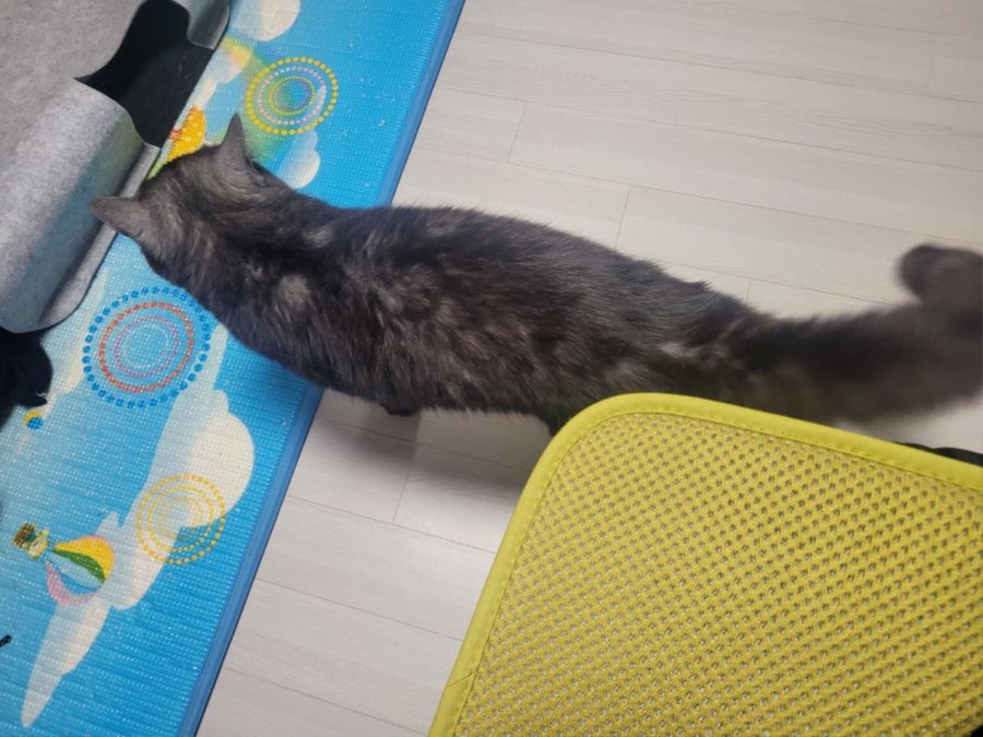 츮 