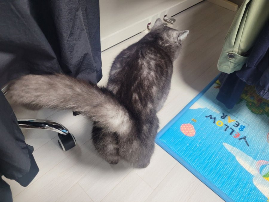 츮 