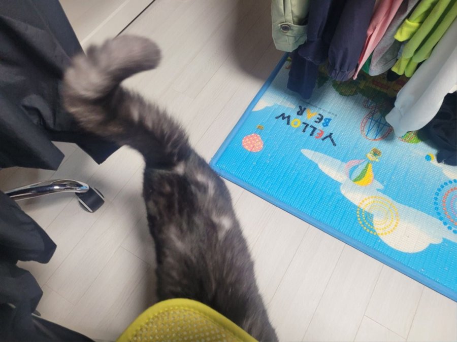 츮 