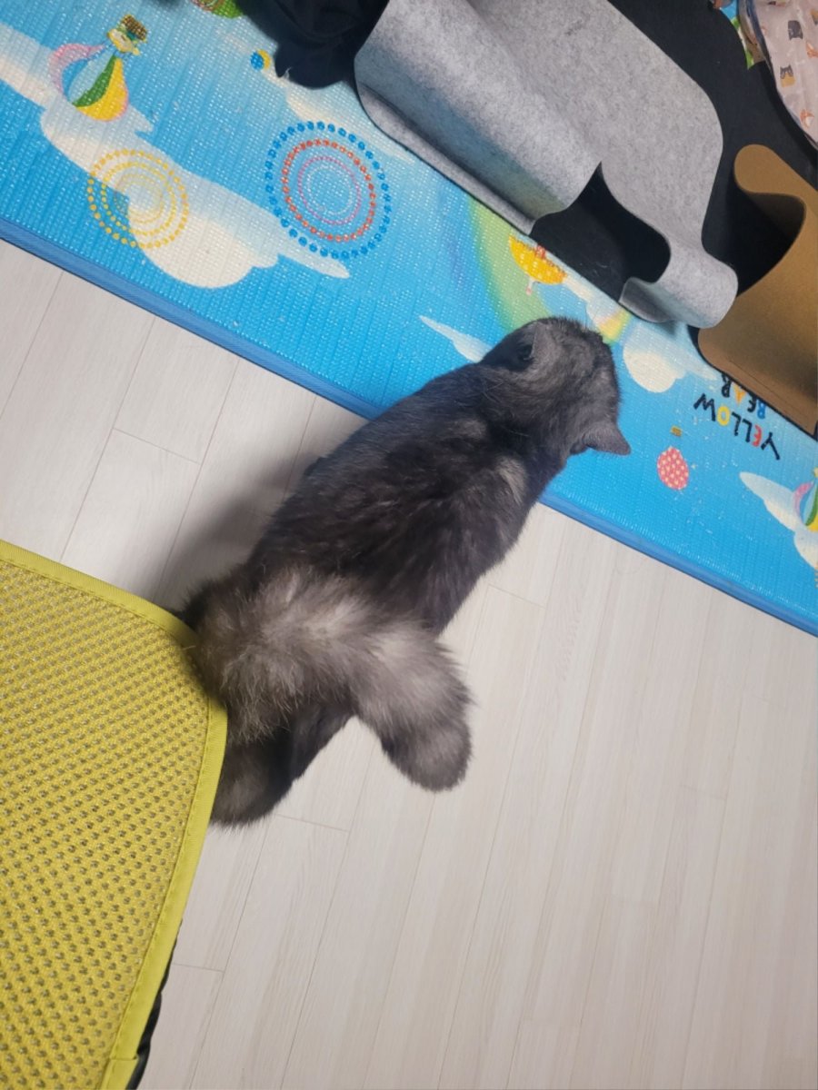 츮 