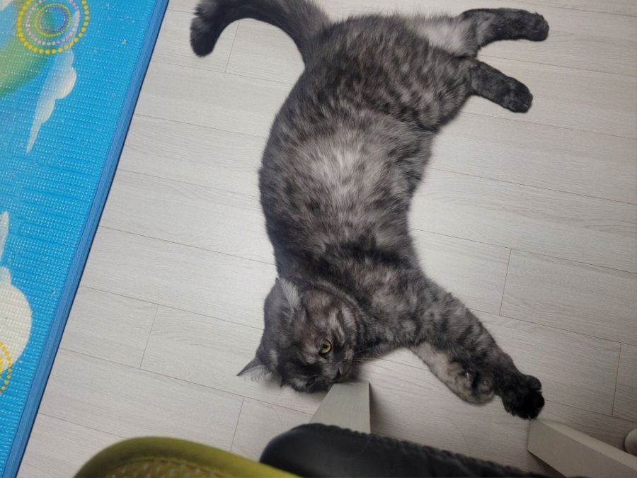츮 
