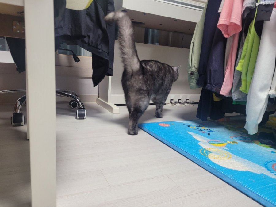 츮 