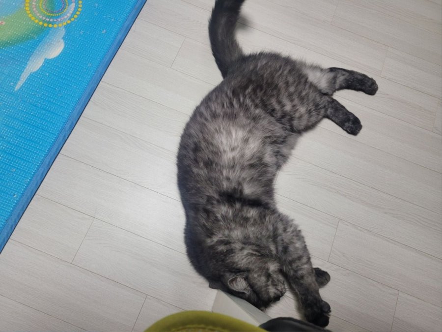 츮 
