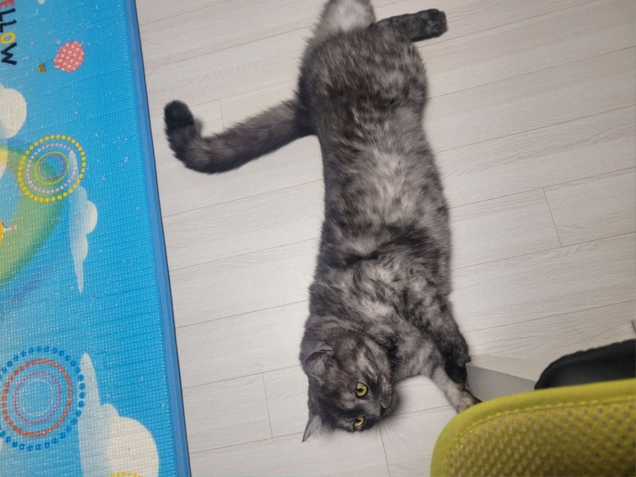 츮 