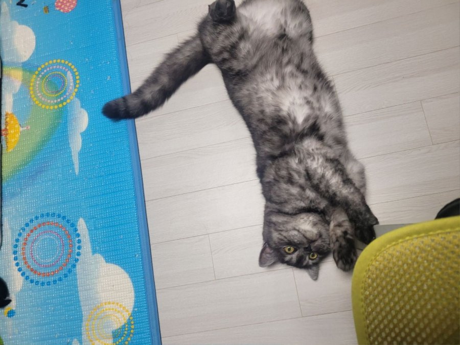 츮 
