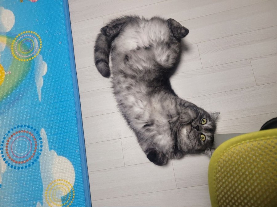 츮 