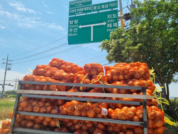 방금 지인이랑 먹은 운저리회무침 병어회입니다