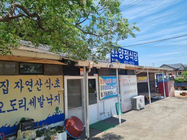 방금 지인이랑 먹은 운저리회무침 병어회입니다
