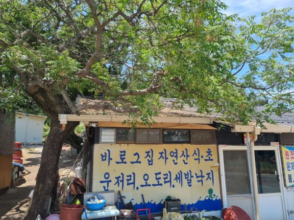 방금 지인이랑 먹은 운저리회무침 병어회입니다