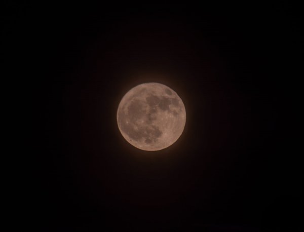 딸기 보름달(Strawberry Moon)