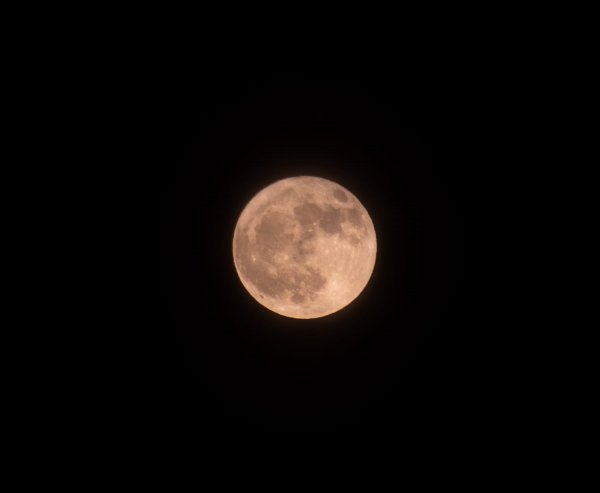 딸기 보름달(Strawberry Moon)