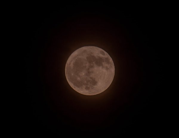 딸기 보름달(Strawberry Moon)