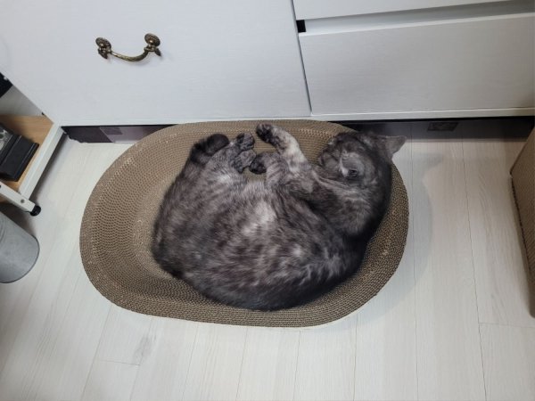 우리집 깜지
