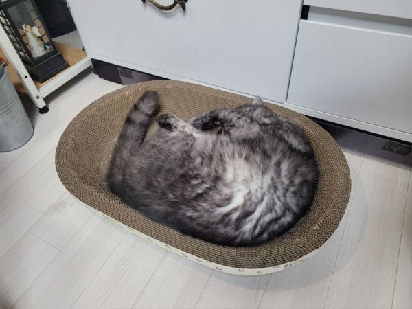우리집 깜지