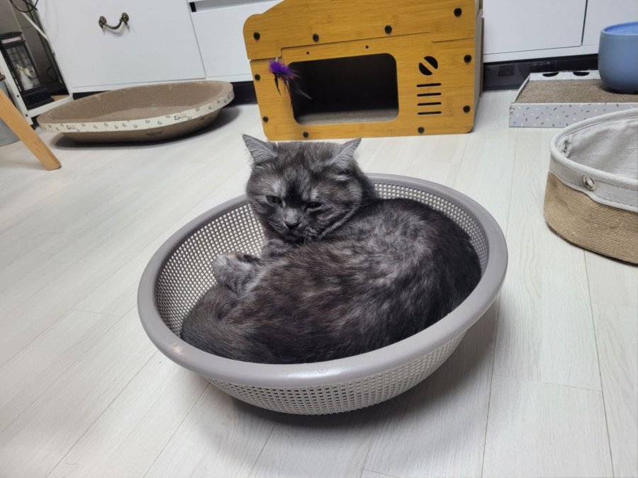 츮 