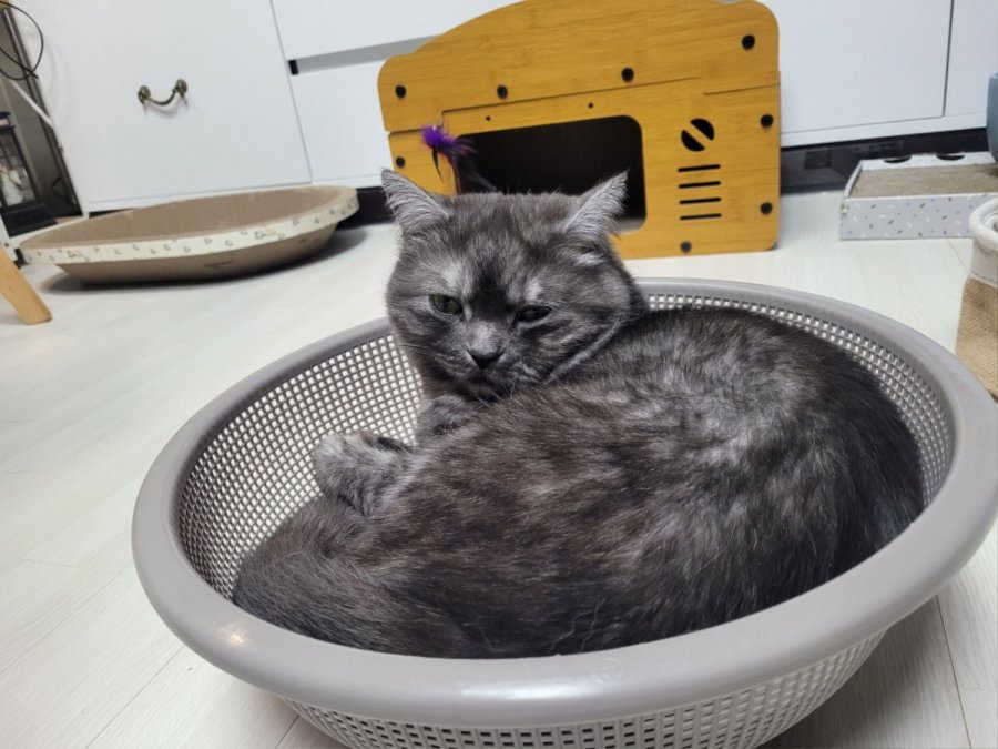 츮 