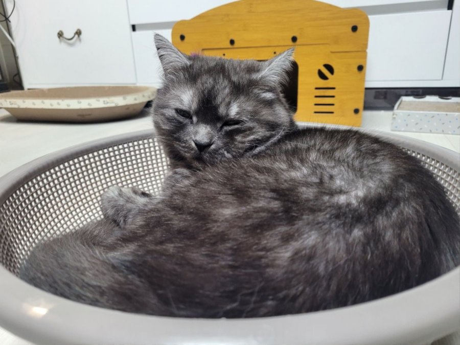 츮 