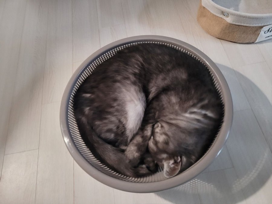 츮 