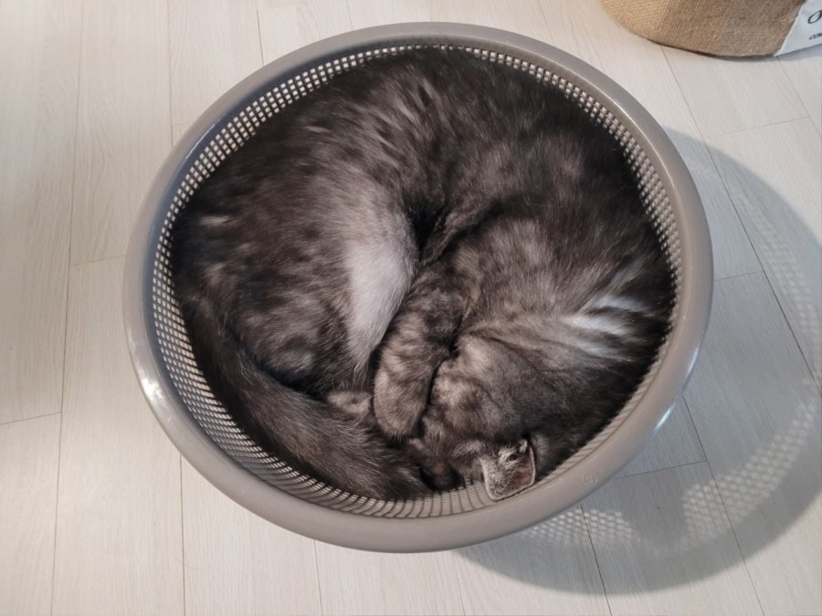 츮 