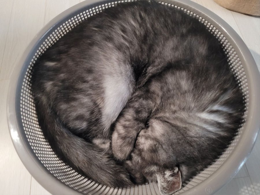 츮 