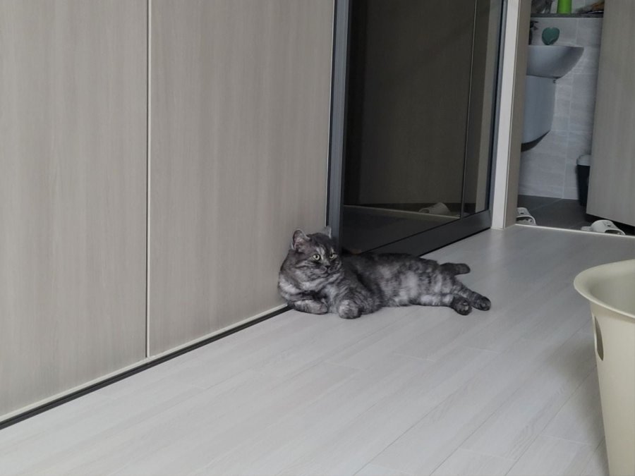 츮 
