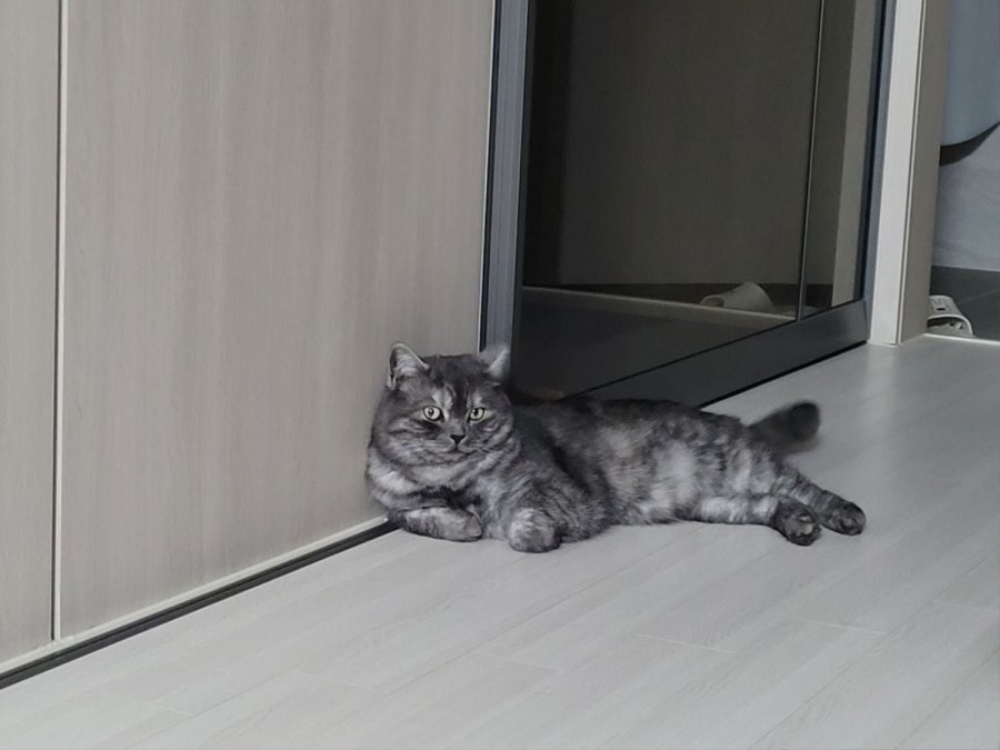 츮 