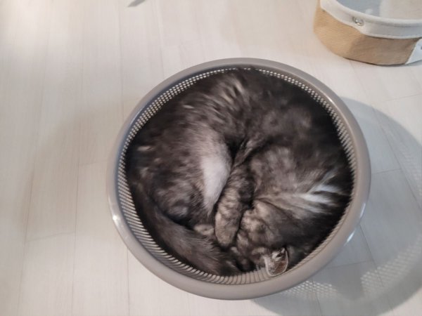 우리집 깜지