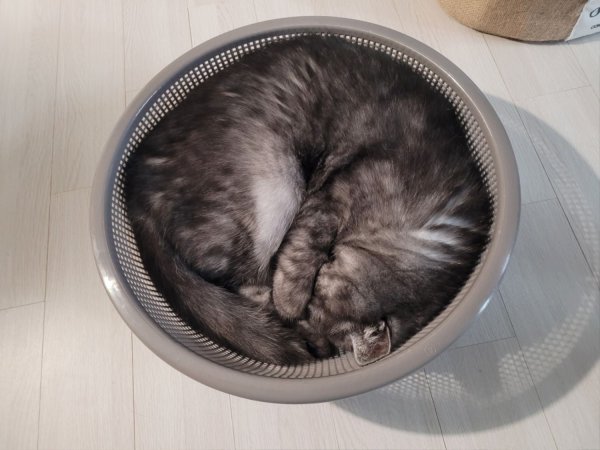 우리집 깜지