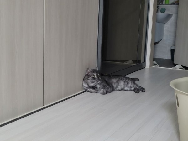 우리집 깜지