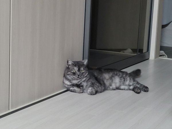 우리집 깜지