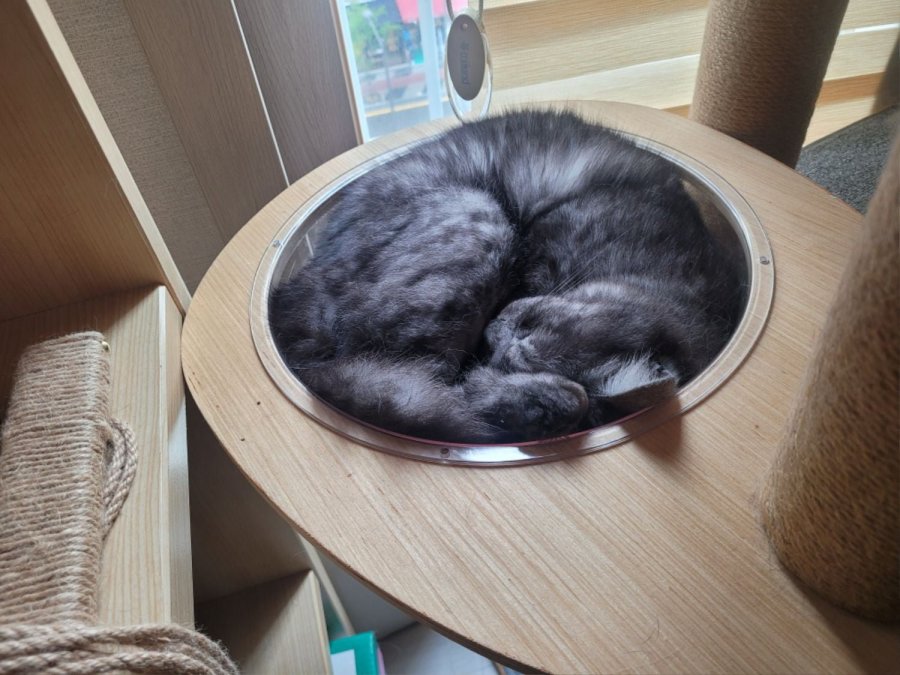 츮 