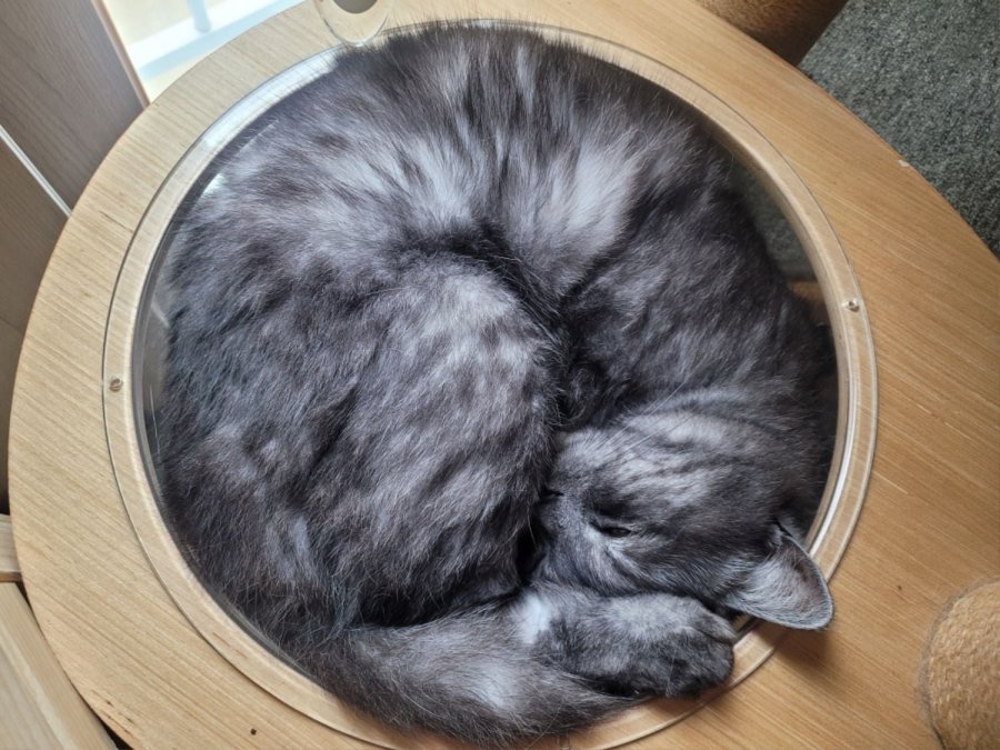 츮 
