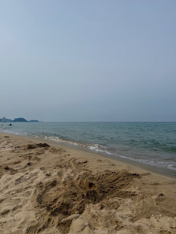 바다