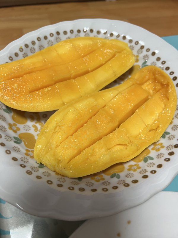 토요일 저녁