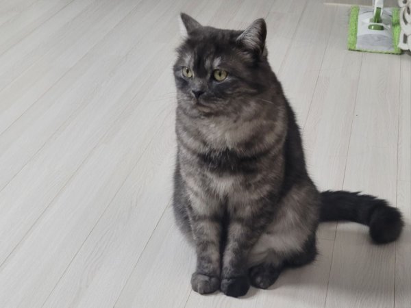 우리집 깜지
