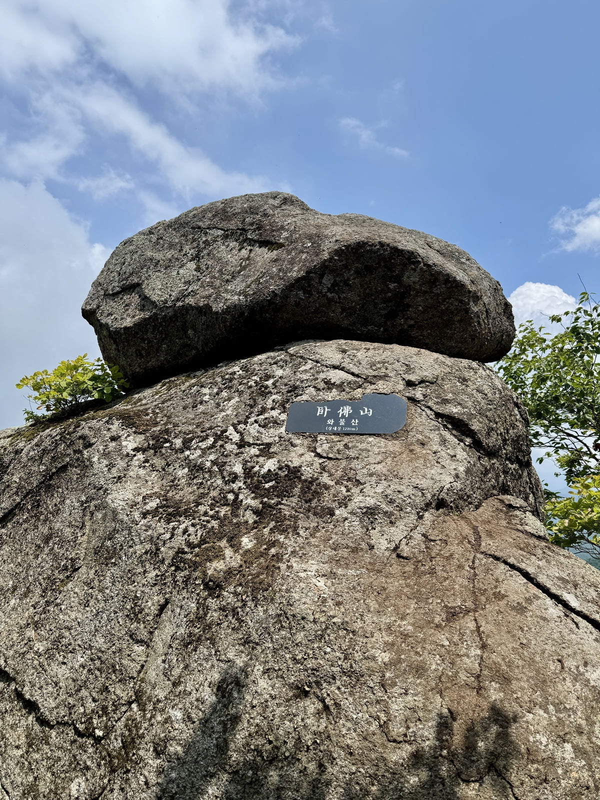 20250615230025_AyVEc9dsLM.jpg