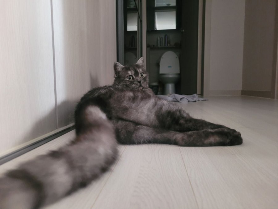 츮 