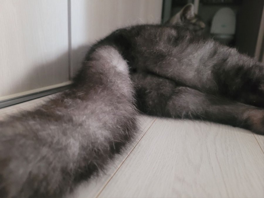 츮 